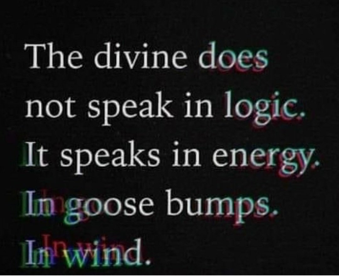 MissAngelic808's tweet photo. 🌿🤍🦋 https://t.co/IEdqktjSHi