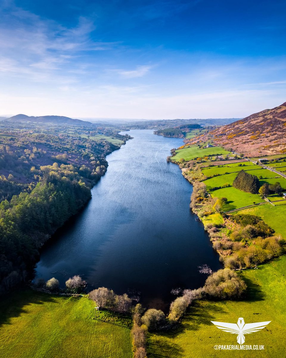 's tweet image. Camlough lake pictured today - a bright Thursday evening! 🏞️💚

📍County Armagh - Éire 🇮🇪 

📸 Pak Aerial Media

#Armagh #Ireland #Camloughlake #Newry
