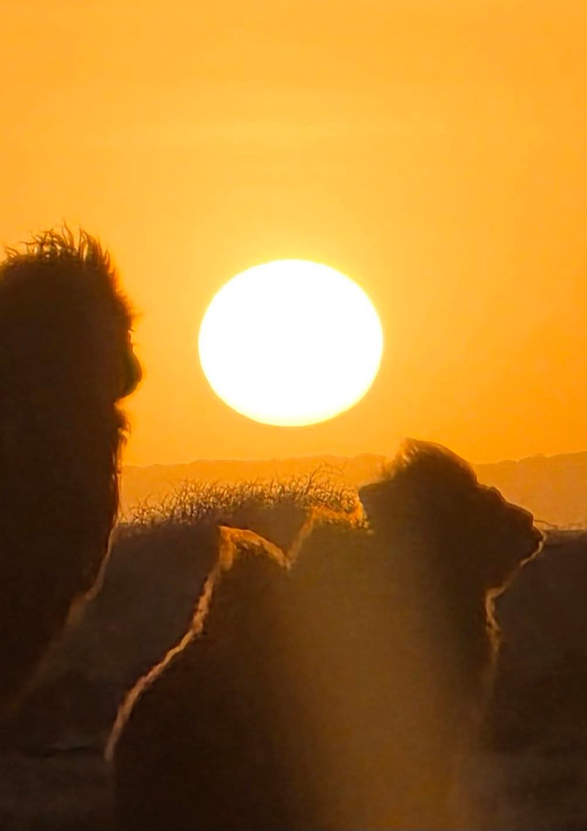 Сугар-Очирын Мөнхжаргал tweet media