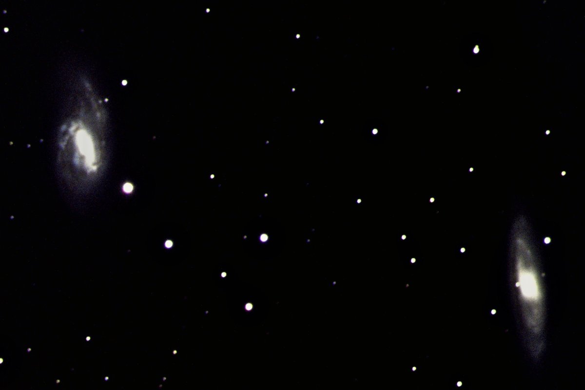 MSU Observatory tweet media