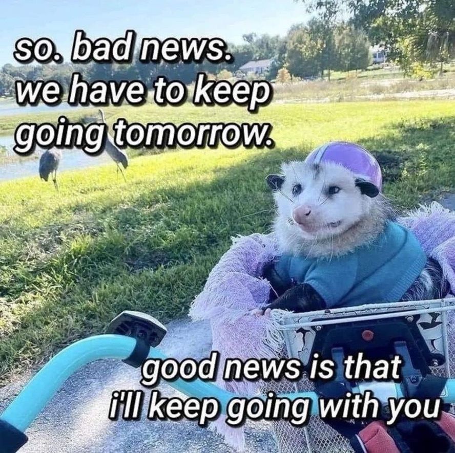 Snaggletooth Screamer tweet media