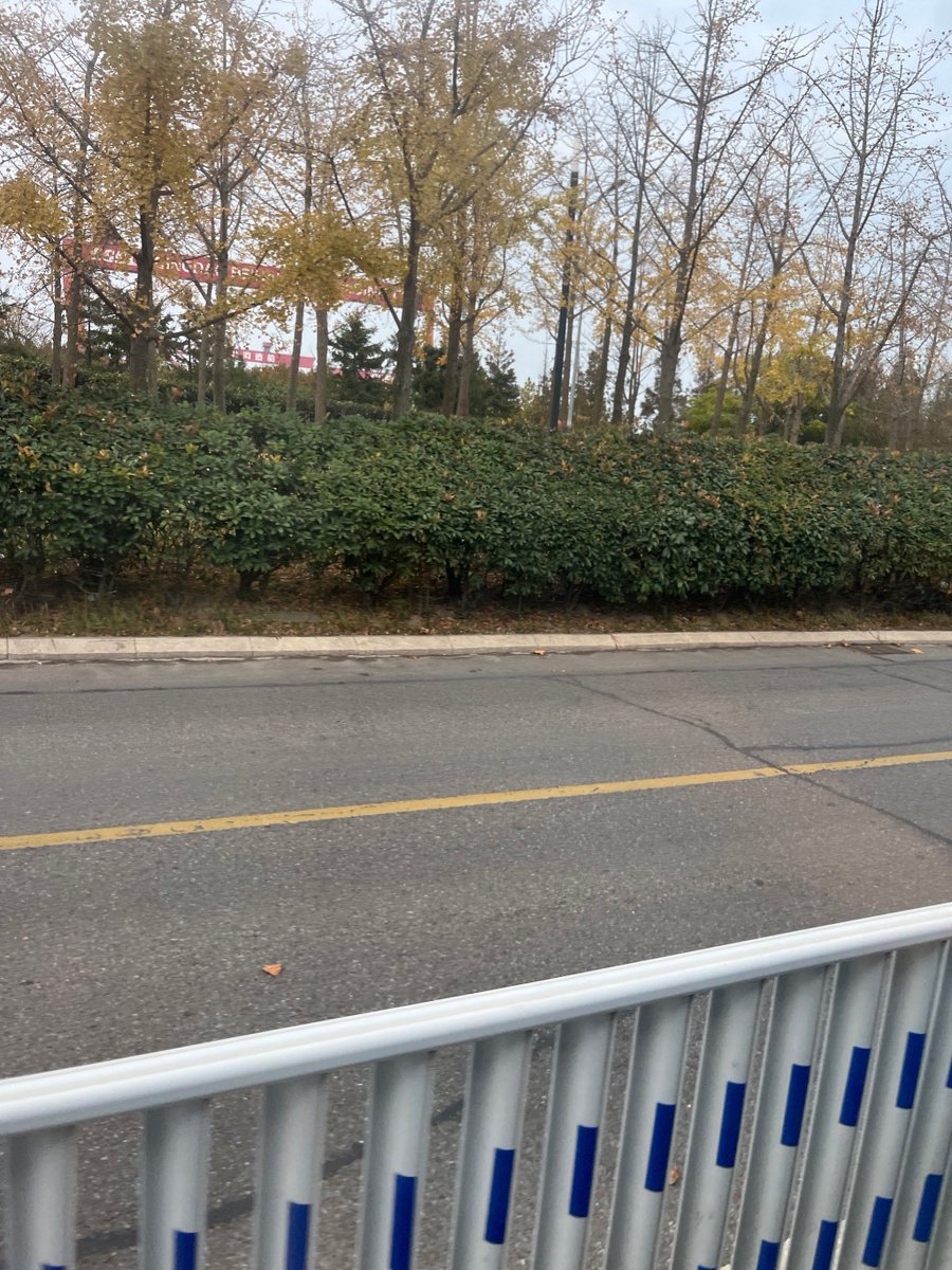 mariana garcía tweet media