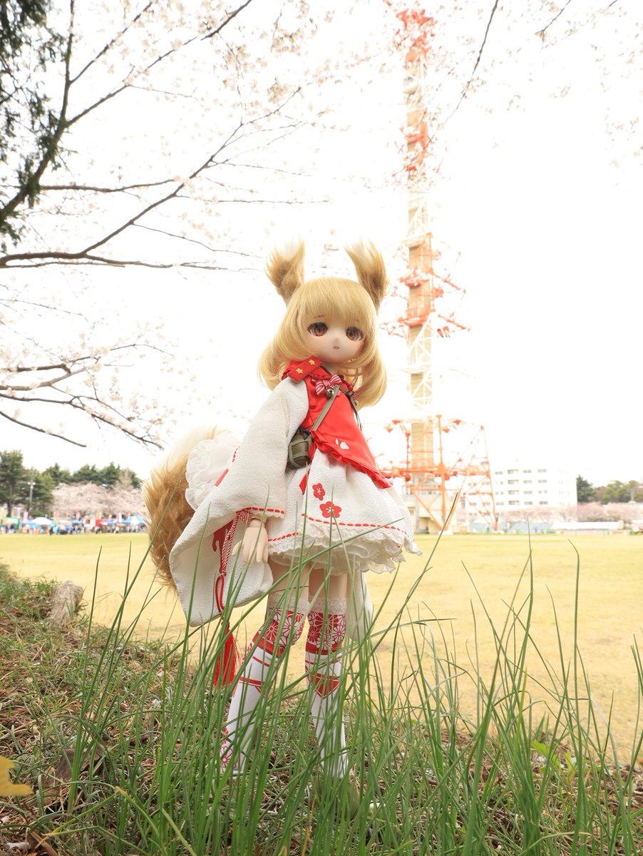 熱田 tweet media