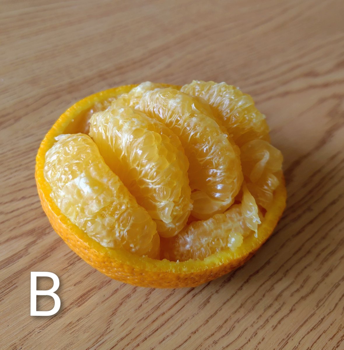 三重県御浜町🍊 tweet media