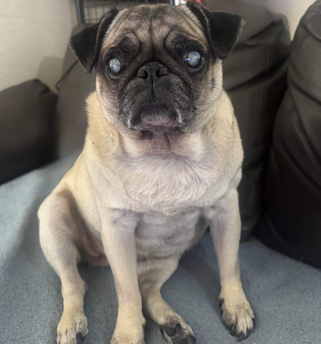 ここぷり tweet media