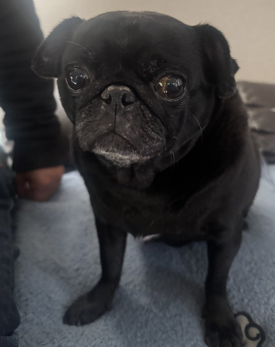 ここぷり tweet media