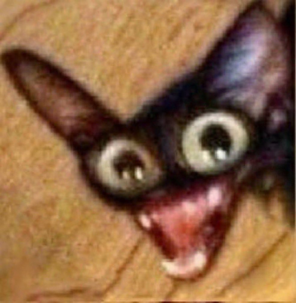 j’suis avec un pd de Neuilly il a sucé Jordan Florrentin