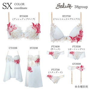 toku_select's tweet photo. PR Rakuten

語彙力を失う美しさ。

サルートの新作38グループが、あまりにも「美」でした。

詳細はリプ欄へ。 https://t.co/hGoit57HSO