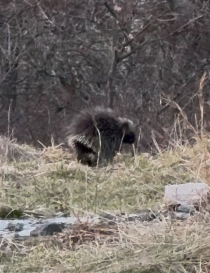 letsgobrazen's tweet image. If you’re from #Pennsylvania - name a small town no one has ever heard of:
#smalltown #engage #pennsylvaniabeautiful