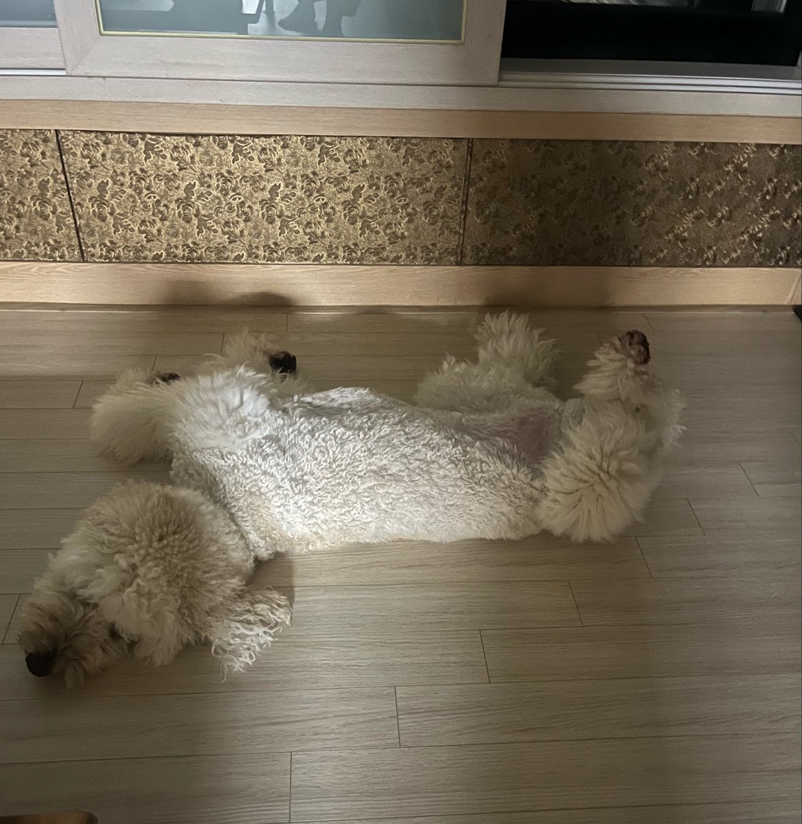 청소가재미써 tweet media