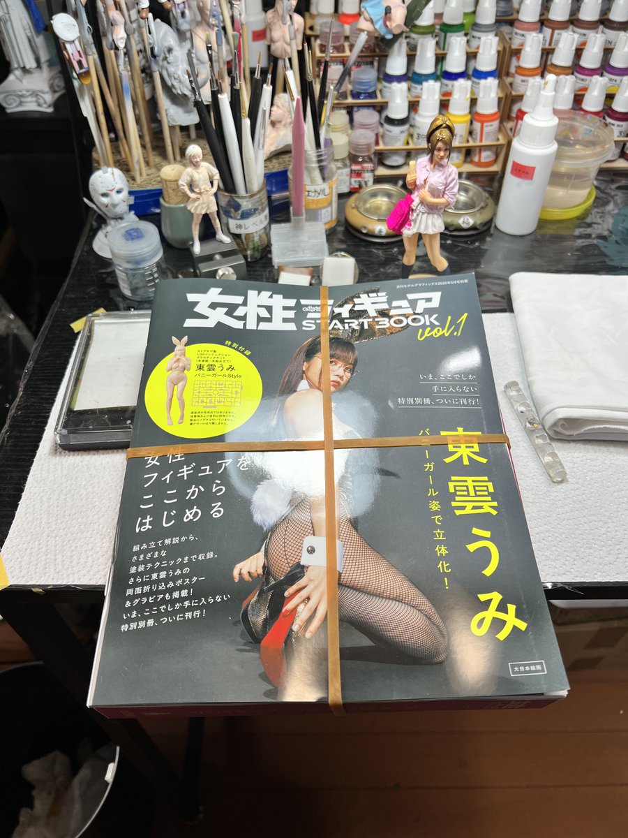 一回10分ほどパラ読みしてプラモ未開封だし塗れそうにないからお安く 