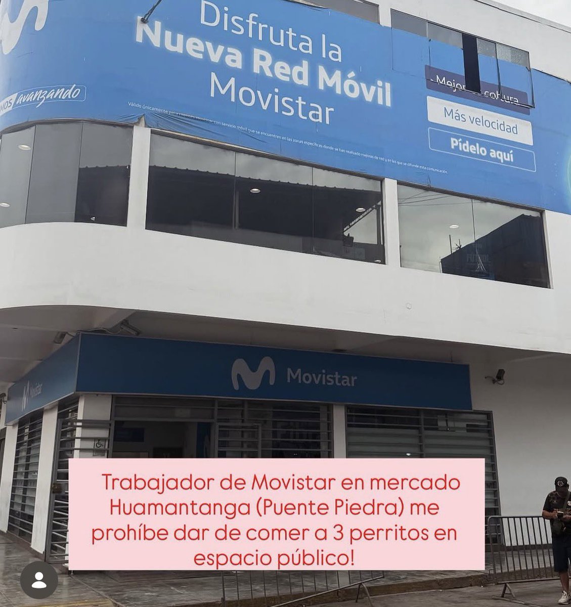 𝐌𑁤 tweet media