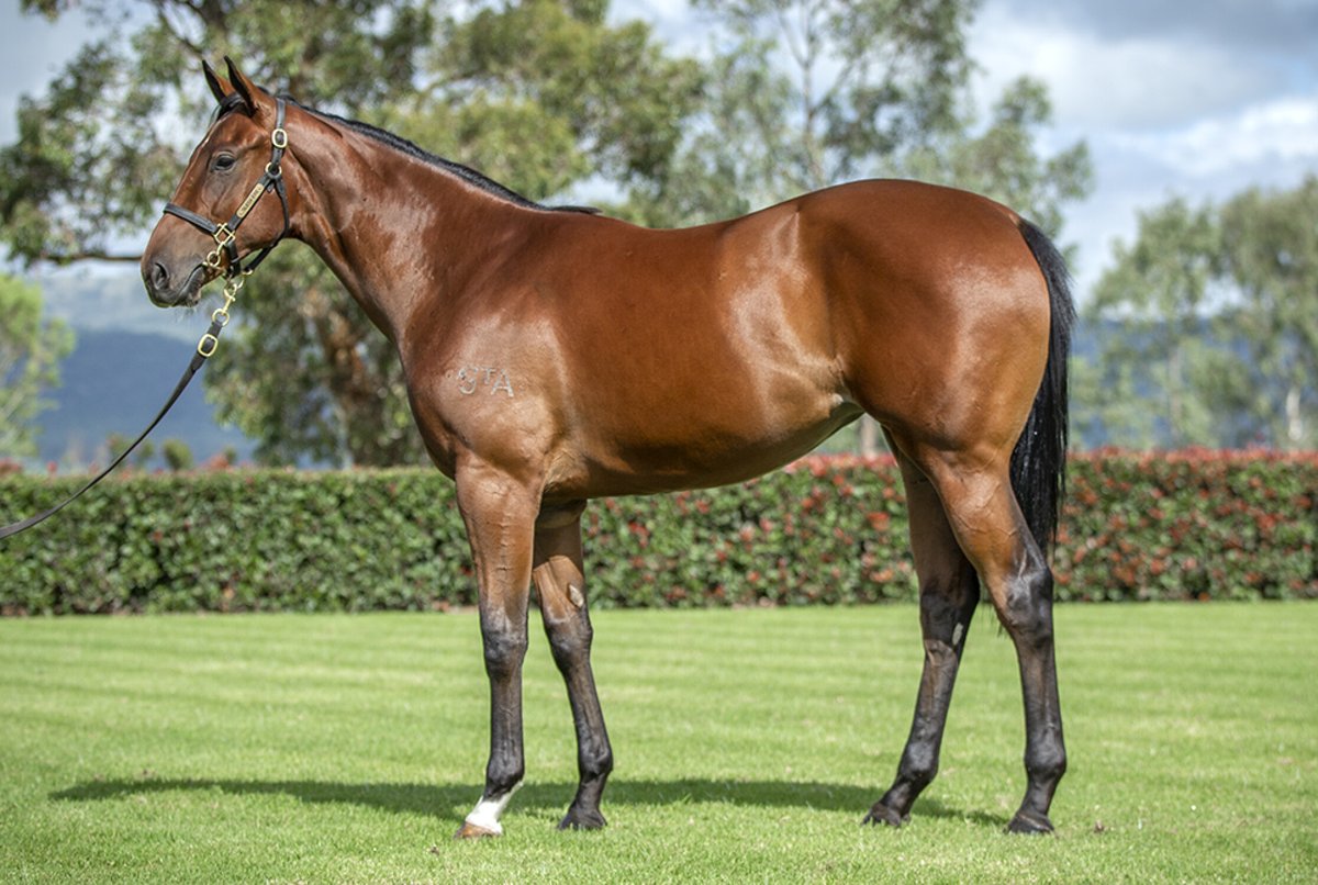 Stallion Match tweet media