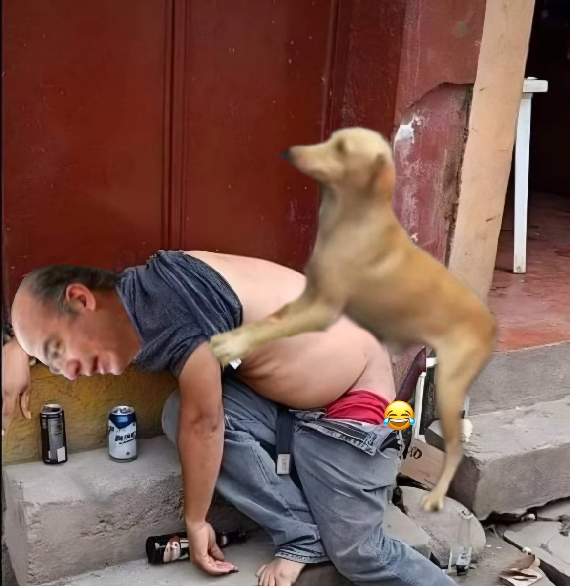 LinuxiBear🇲🇽 🇨🇴 tweet media