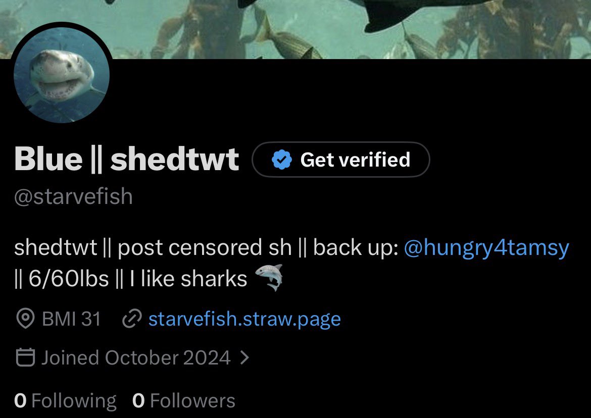 Blue || shedtwt tweet media