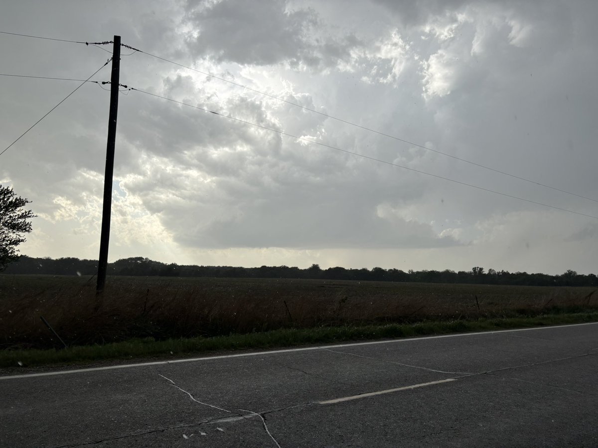 baugh_elliot's tweet image. The storm near Wellington, Kansas is ramping up QUICKLY! It already has a nice big base! #weather #kswx @NWSWichita