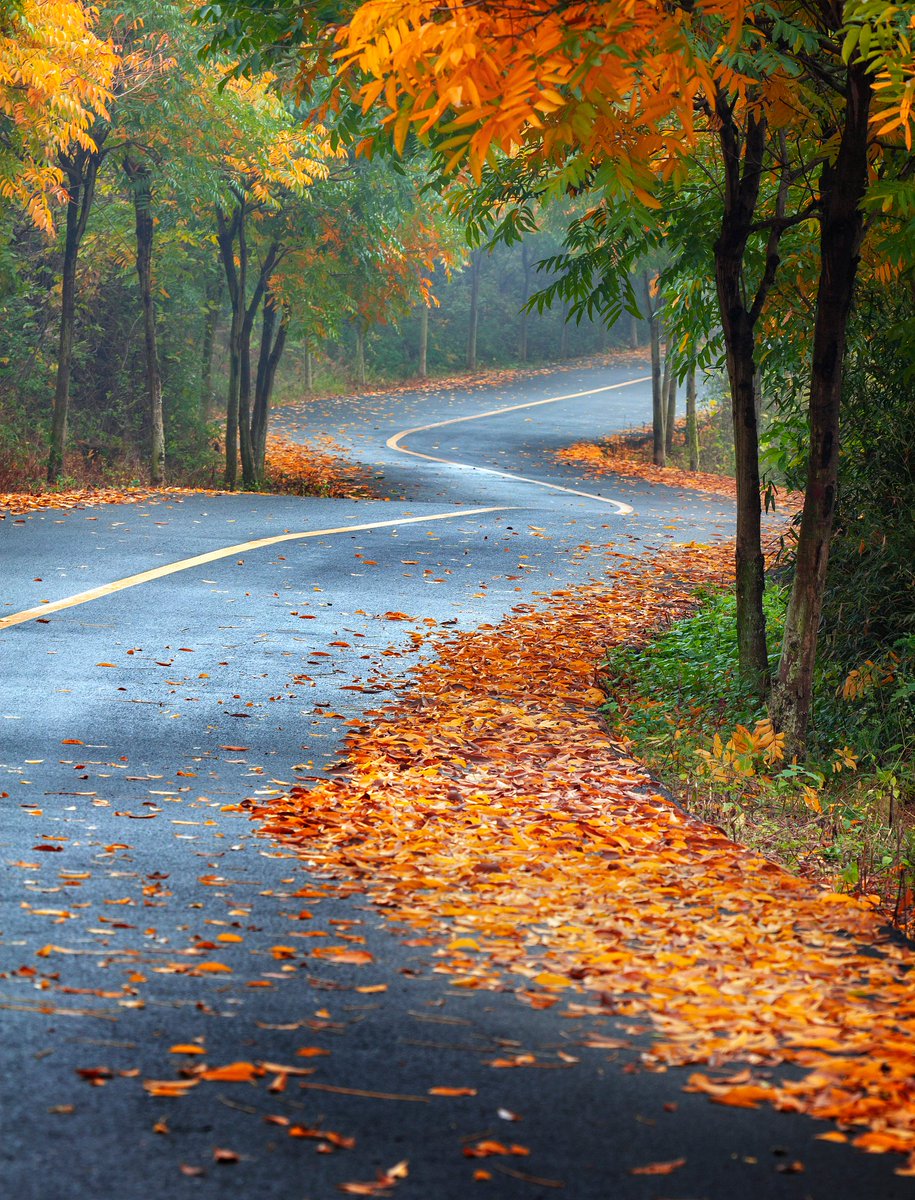 Антон Виницкий tweet media