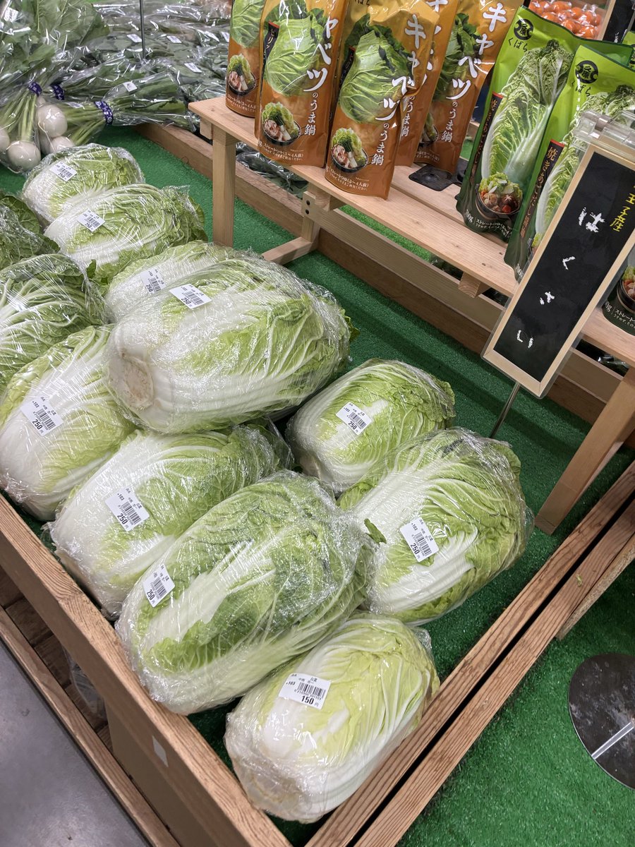 おはようございます☁️ 本日は八王子産のかぶ、のらぼう菜、白菜