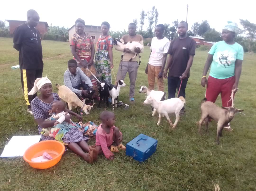 KWIGIRA 3600 FOUNDATION (K3600F) tweet media