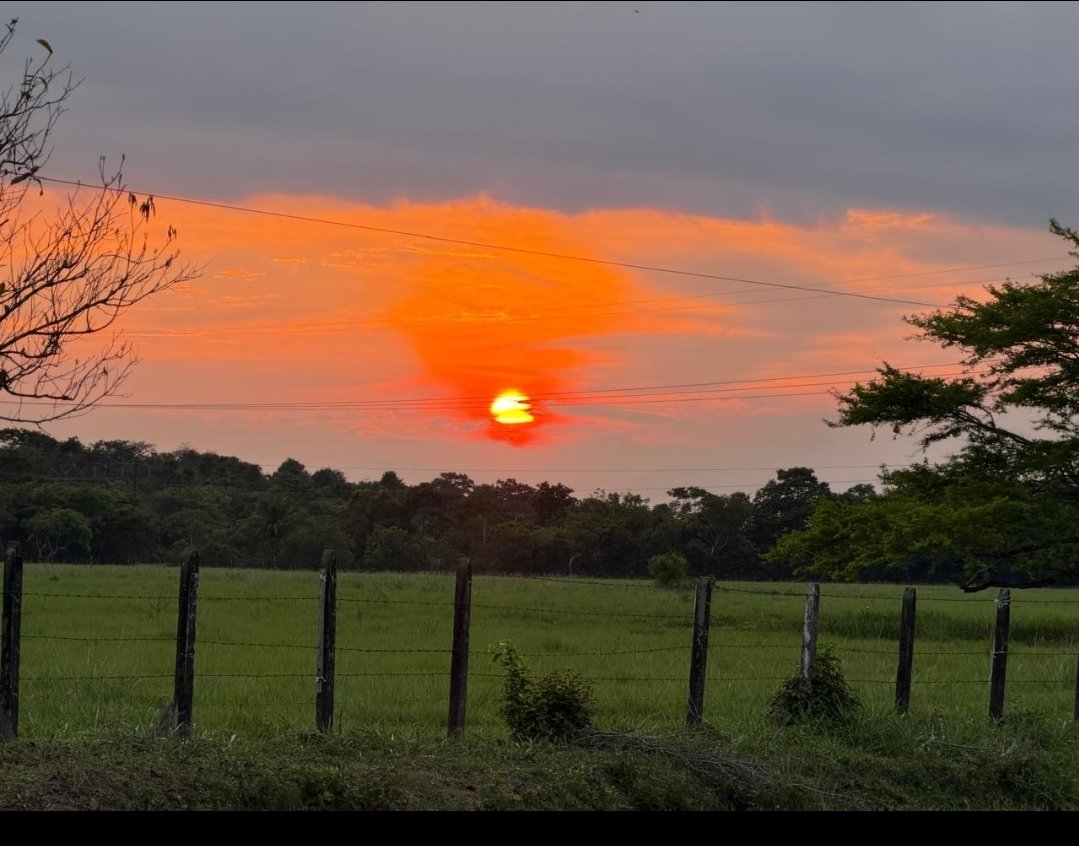 Máximo Fernández Rodríguez tweet media
