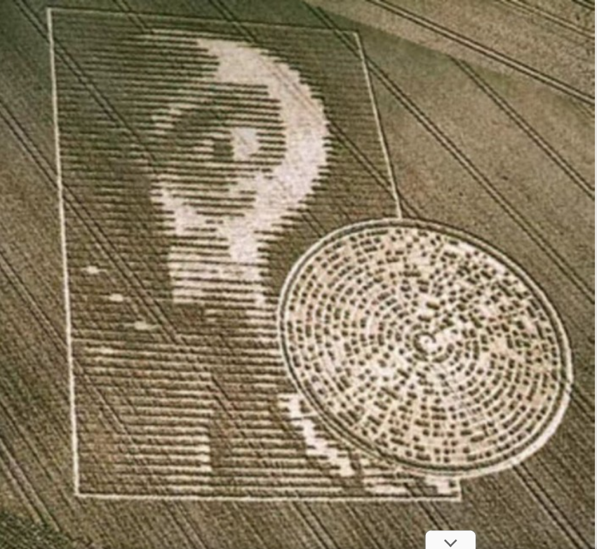 Dennis Torii, Jr. tweet media