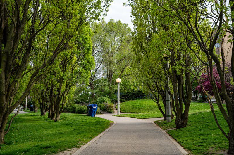 Kristyn Wong-Tam 🇨🇦 tweet media