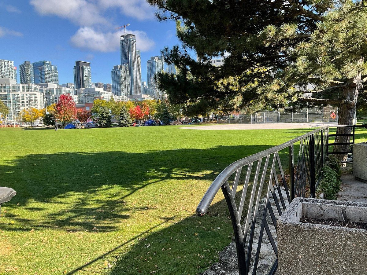 Kristyn Wong-Tam 🇨🇦 tweet media