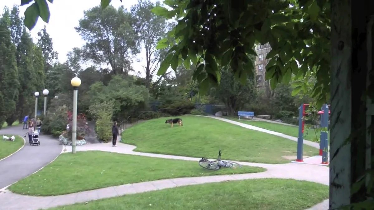 Kristyn Wong-Tam 🇨🇦 tweet media