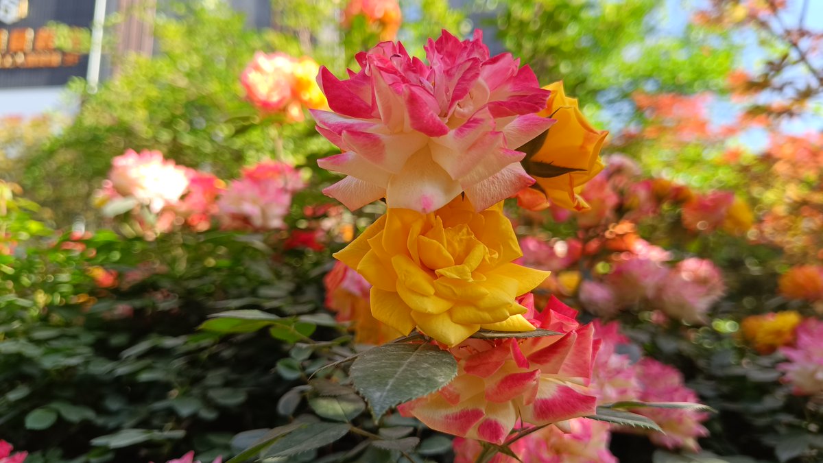 BrianGastonDBNA@😎 tweet media