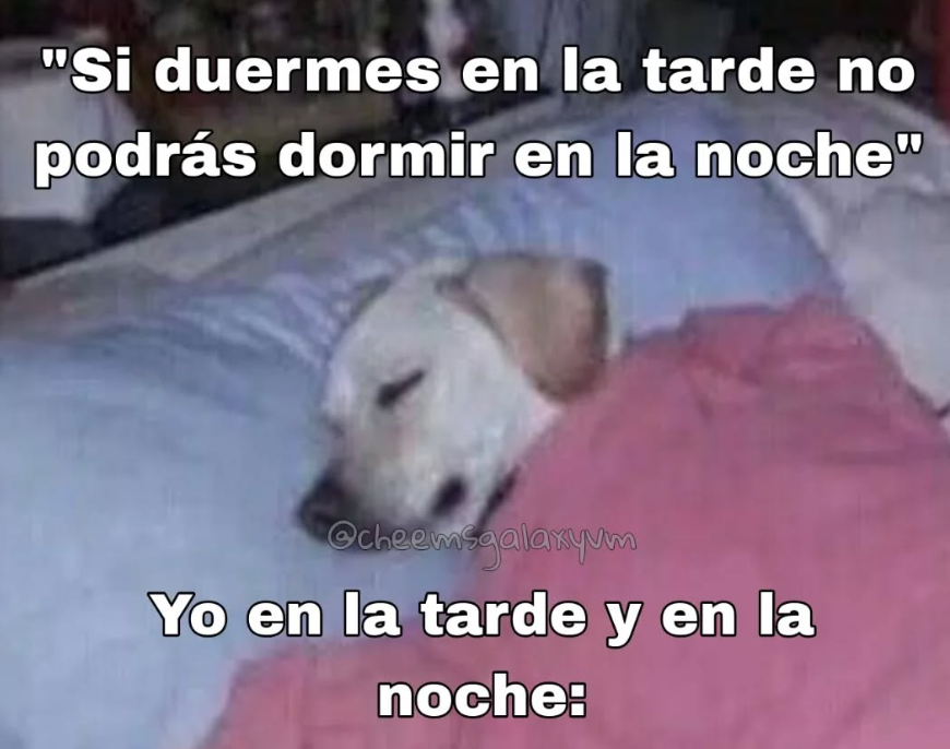 jssjjs soy ese