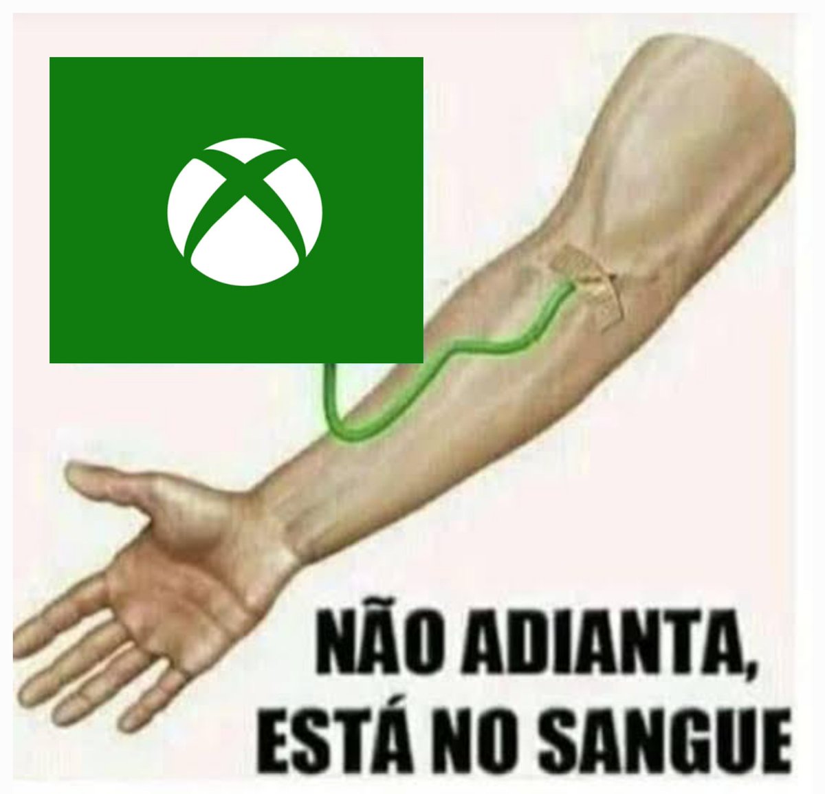 BernardoPC tweet media