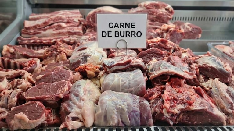 En la Argentina de Milei se empezó a comer carne de burro.

Por eso, se viene un nuevo hilo: 
10 CARNES EXTRAÑAS QUE SE COMEN EN EL MUNDO