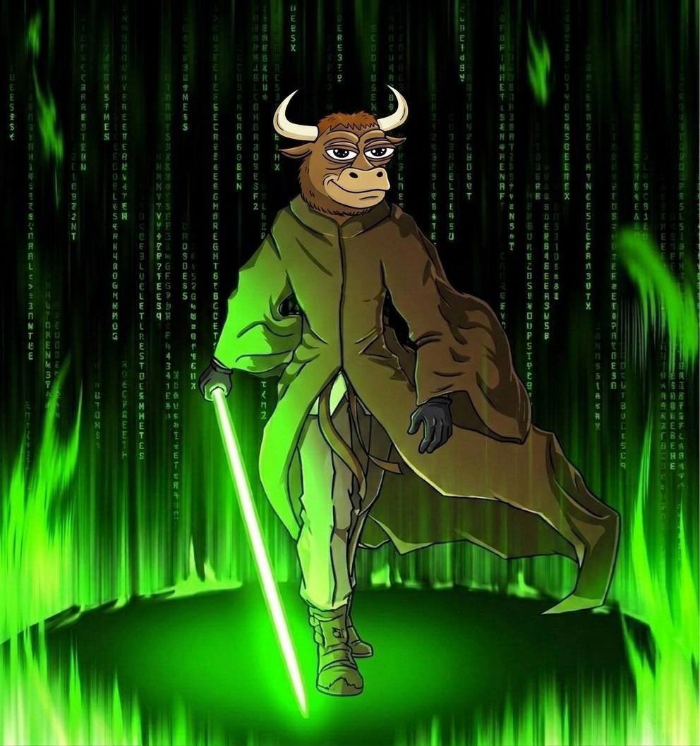 Monique Kaye tweet media