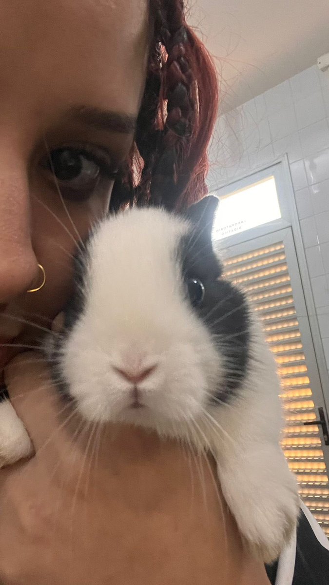 nandarinaz's tweet photo. a veterinária é tão incrivel as vezes,
hoje eu atendi um coelho chamado yuri alberto https://t.co/ukYpU2gRai