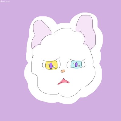 きょん🙋🏽‍♀️✨ tweet media