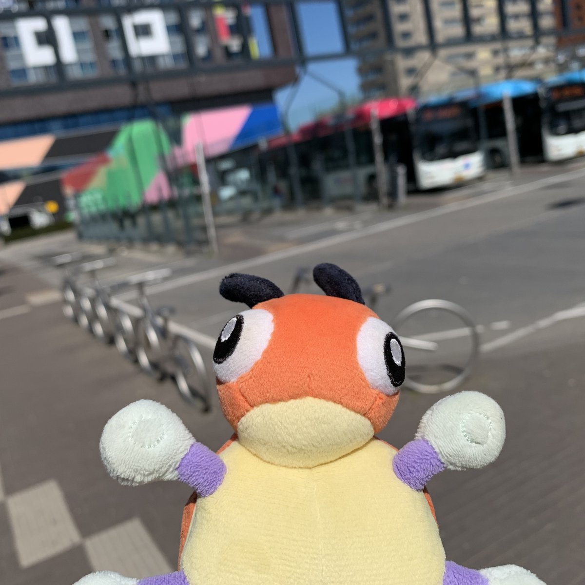 LedybaBaby's tweet photo. *hugs you*

#Pokemon #Ledyba #Rediba #レディバ #ポケモン #ポケぬい #Nijmegen https://t.co/NrhBpc2BHR