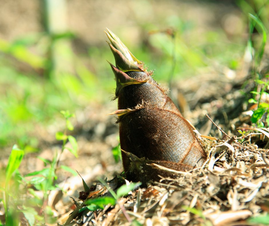 けいこ🍀@日日是好日＿保育士 tweet media