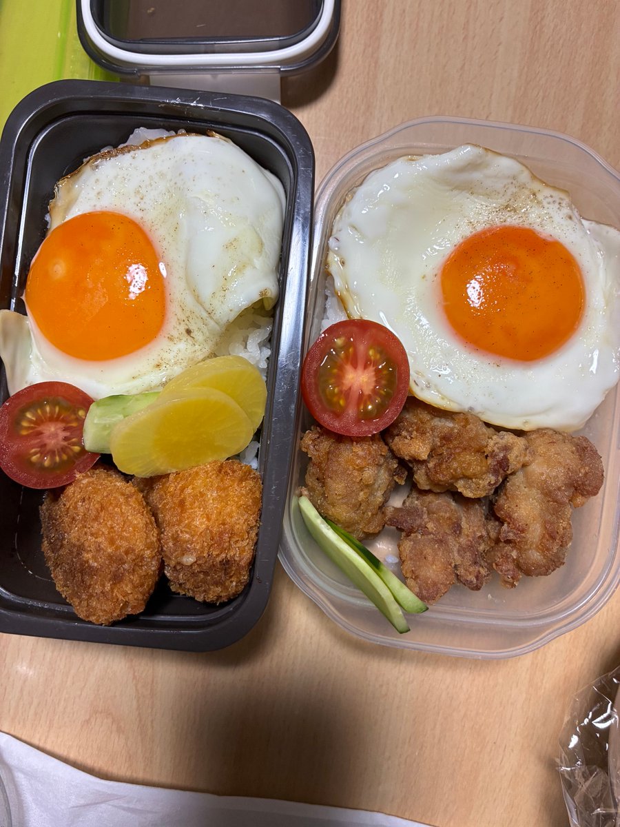 杏花・雪解けの空に tweet media