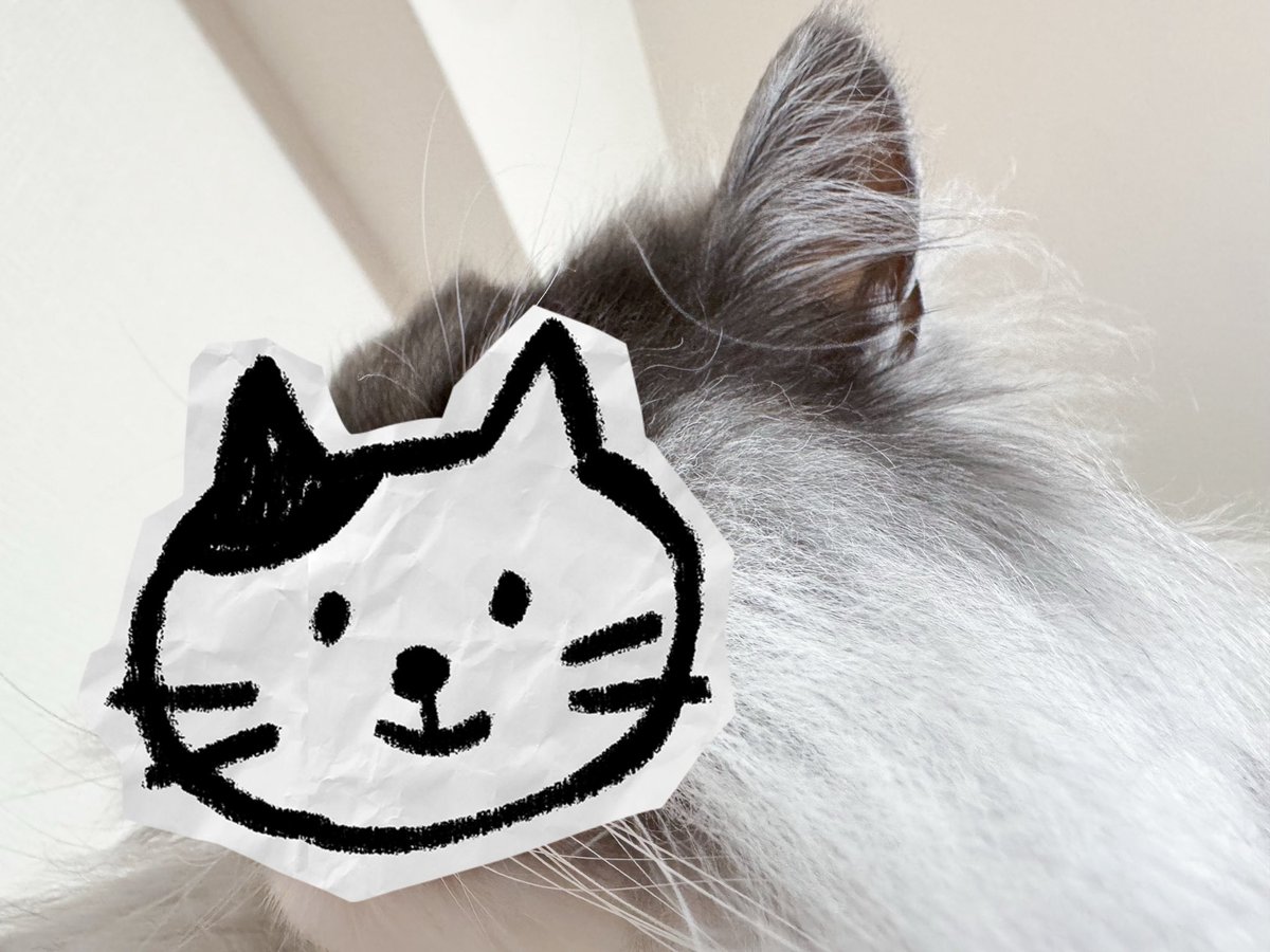 トト＠DQW tweet media