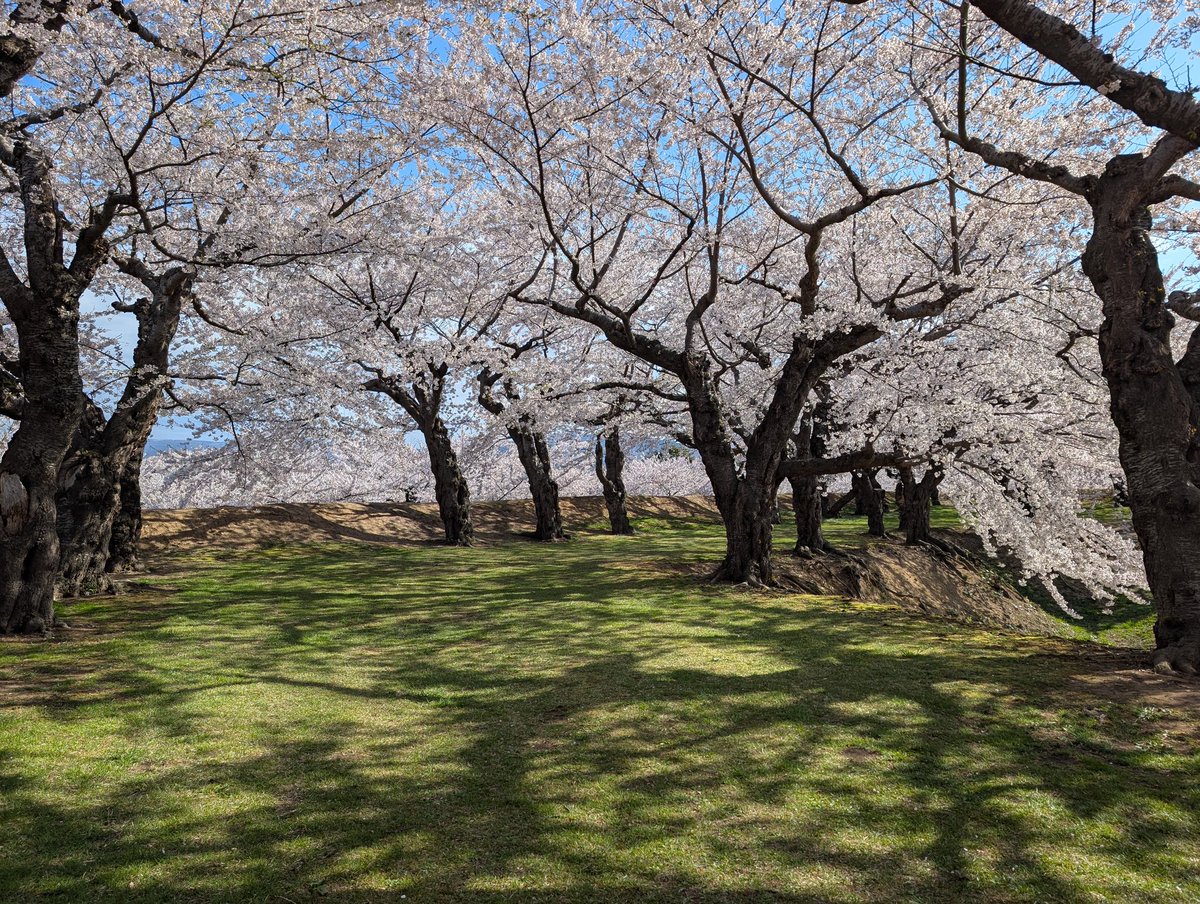 Gentaro Terada tweet media