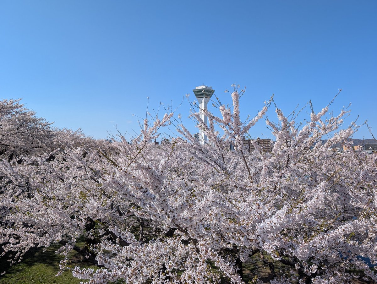 Gentaro Terada tweet media