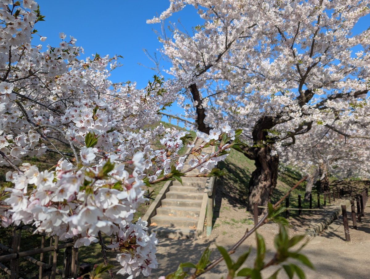 Gentaro Terada tweet media