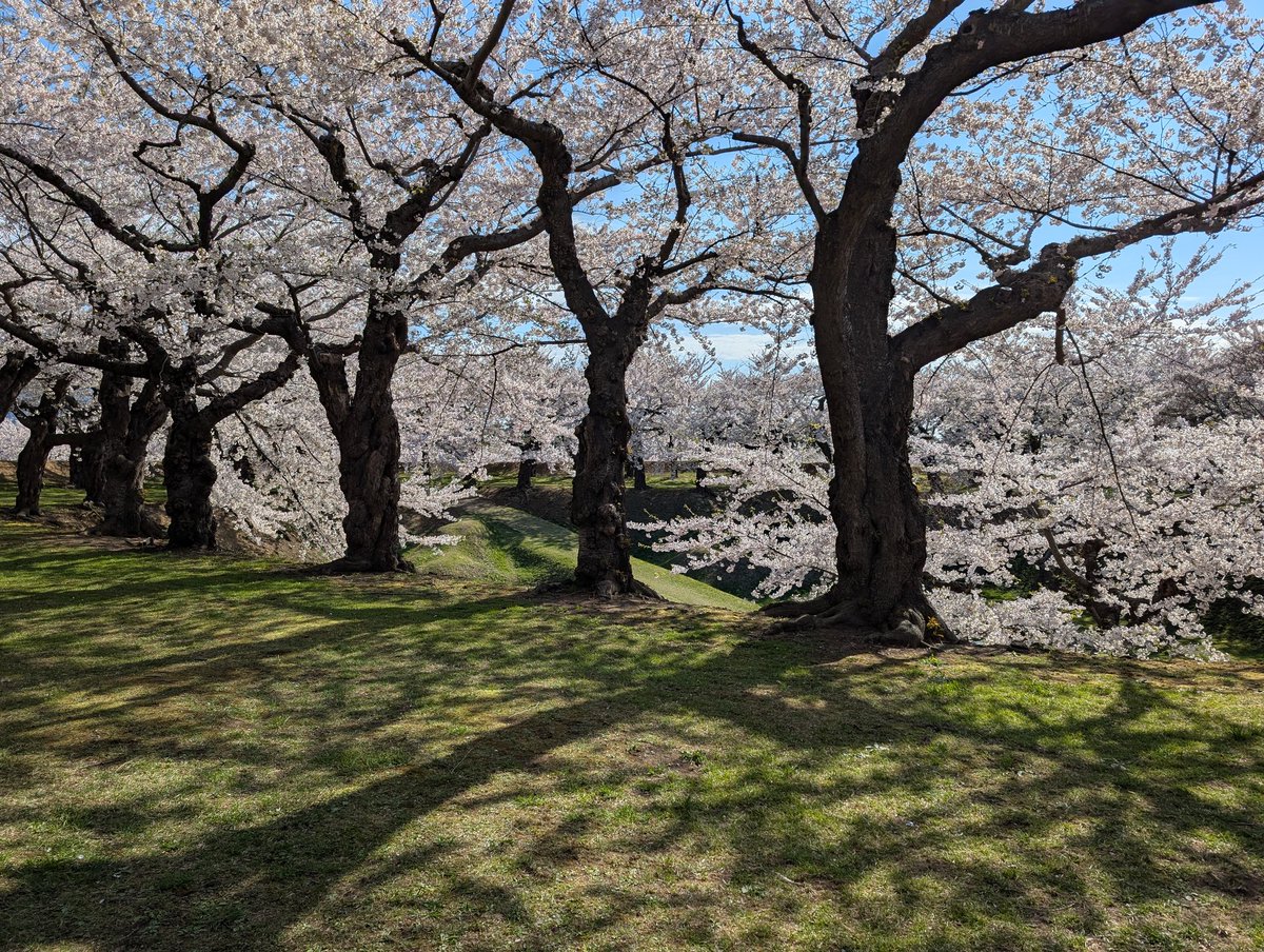 Gentaro Terada tweet media