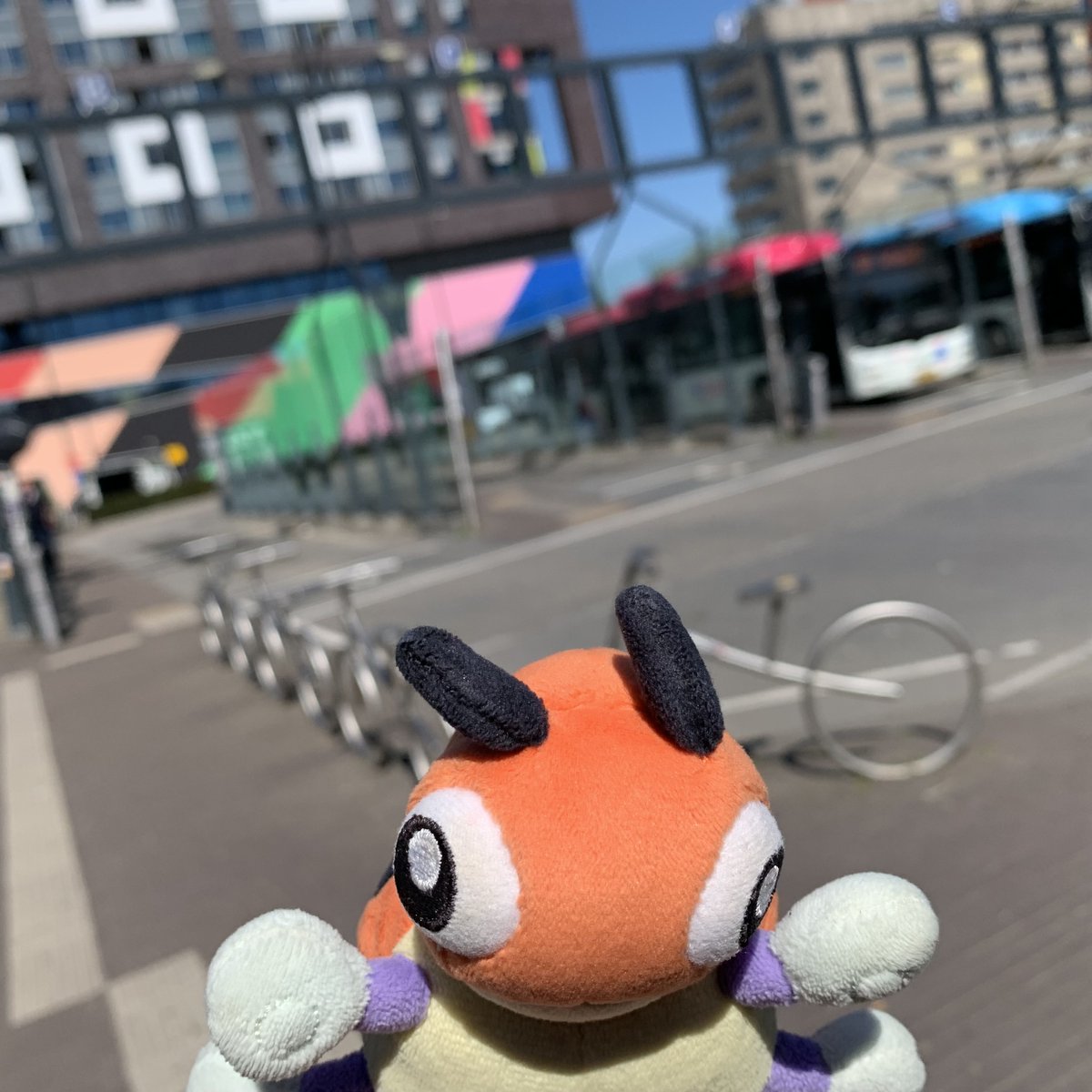 LedybaBaby's tweet photo. I love to fly~!
Time to spread my wings~!

#Pokemon #Ledyba #Rediba #レディバ #ポケモン #ポケぬい #Nijmegen https://t.co/cZqEe4HOE1