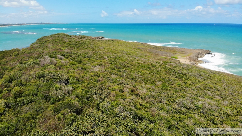 PuertoRicoDayTrips tweet media