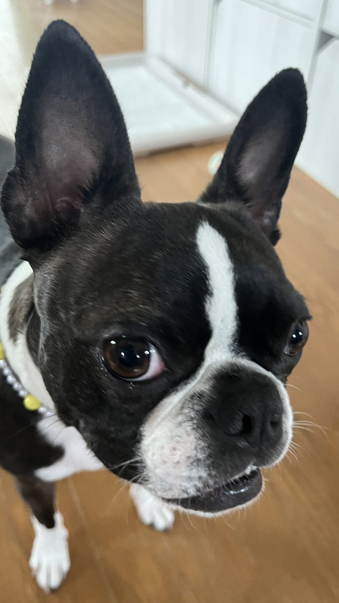 バリっ子ハッピー tweet media