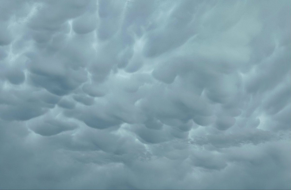Mobile Weather Office tweet media