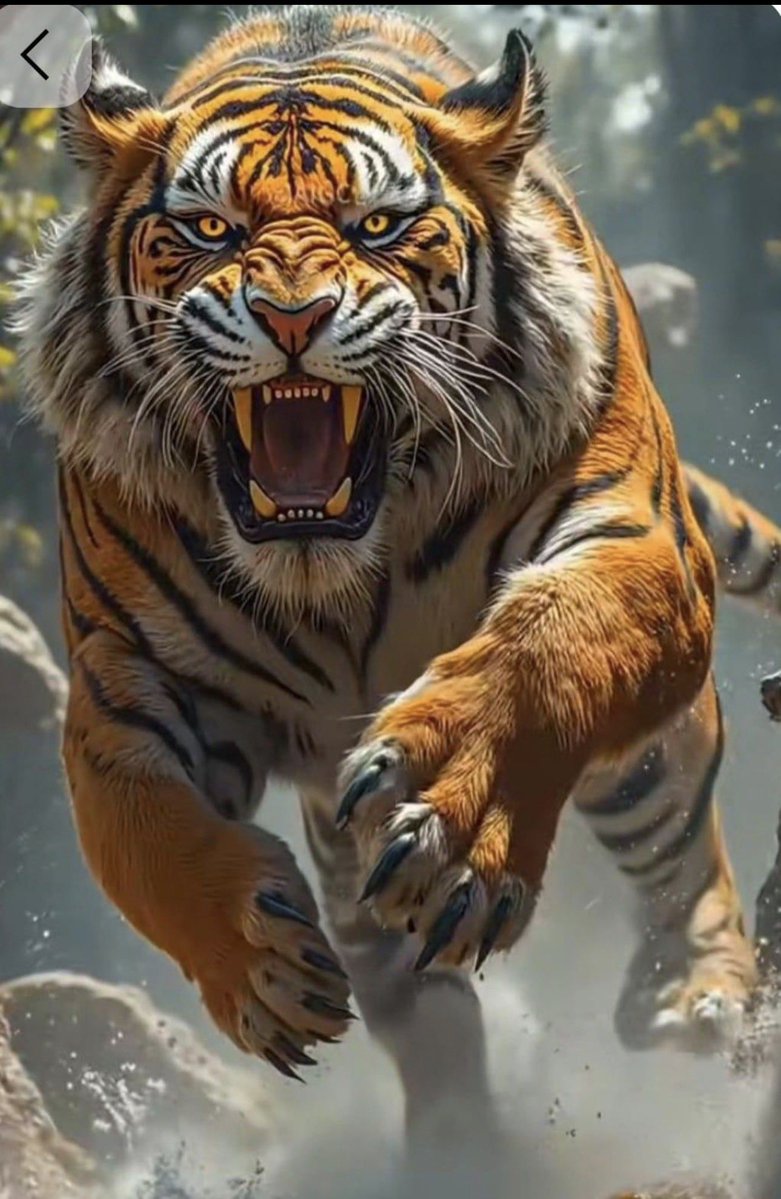 Por favor cuiden sus cuentas, sean prudentes en cumplir las normas de X para evitar la SUSPENSIÓN, estamos en la recta final de las elecciones y necesitamos la mayor cantidad de seguidores de <a href="/ABDELAESPRIELLA/">Abelardo De La Espriella</a> y <a href="/jrestrp/">José Manuel Restrepo Abondano</a> haciéndoles campaña.

VAMOS PARA ADELANTE COMO TIGRES