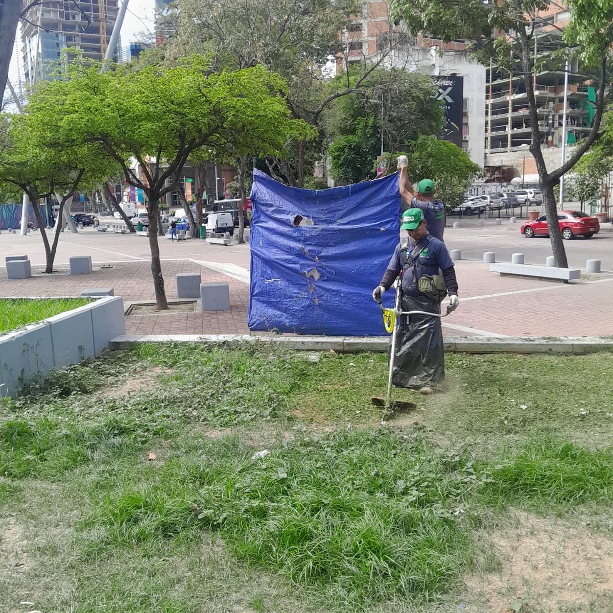 AlcaldiaBaruta's tweet photo. Nuestras cuadrillas de #AcciónInmediata continuaron realizando labores de:
🍃Desmalezado y limpieza:
📍Urb. #LasMercedes
📍Urb. #AltoPrado
🚦Demarcación:
📍Av. #SantaSofia
🍃Remoción de Poste Caído:
📍Urb. #Caurimare https://t.co/hdwRmWWCy3