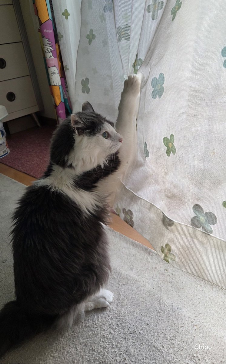 ちったん tweet media